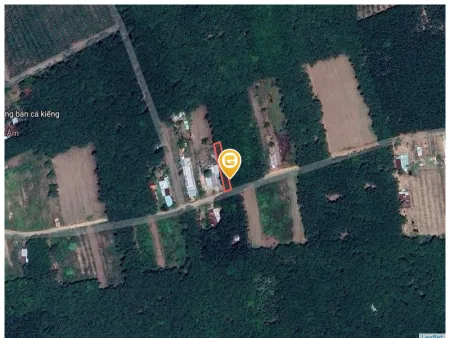 Bán đất 347.8m² Xã An Long