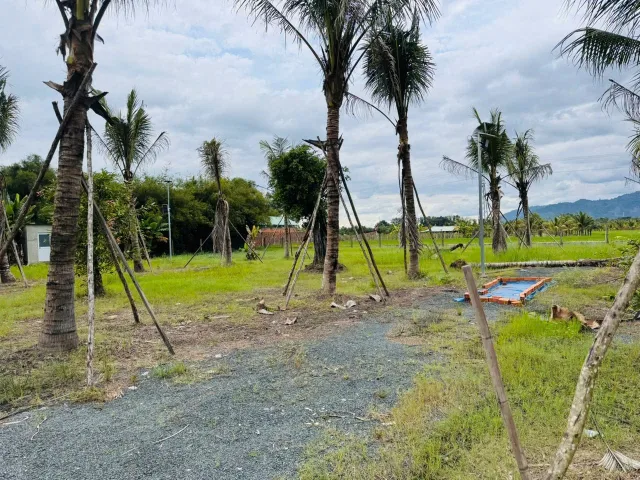 Bán đất 4962m² ngang 33.30m giá 6.5 tỷ Phường Ninh Thạnh