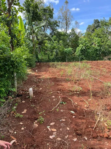 Bán đất 99.5m² ngang 5m giá 465 triệu Xã Hòa Phú