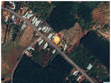 Bán đất 992m² Xã Đồng Tâm