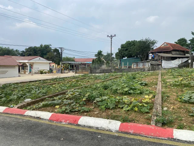 Chủ nhà cần bán thủa đất 110m tại Thịnh Minh Hoà Bình, ngay gàn khu vực Cầu Hoà Bình số 6 đang thi công móng cầu số 1.