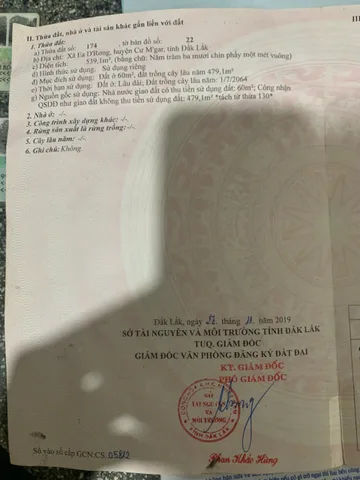 💫💫 BÁN NHANH TRONG 10 NGÀY – LÔ VIP EADRONG 💫💫
🔥 TRỤC ĐƯỜNG CHÍNH QUY HOẠCH 32,5M – ĐẸP NHẤT