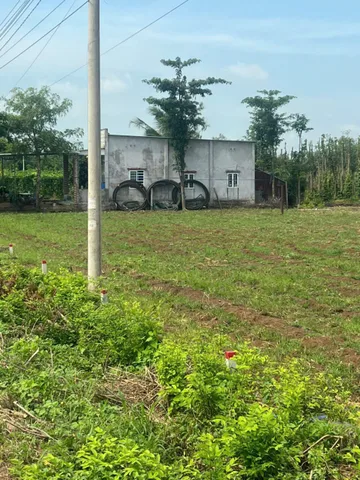 CUỐI NĂM CHỦ CẦN RA GẤP 2 LÔ Ở CHÂU ĐỨC_BÀ RỊA VŨNG TÀU _MẶT TIỀN ĐƯỜNG NHỰA, TIỆN ÍCH ĐẦY ĐỦ