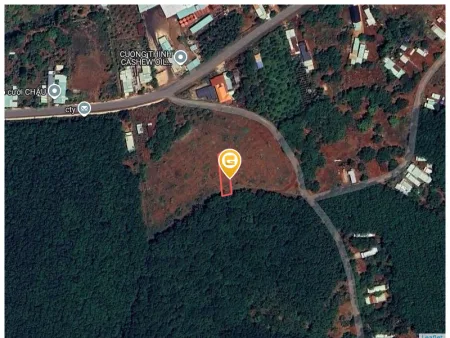 Bán đất 186.5m² Xã Đồng Tâm