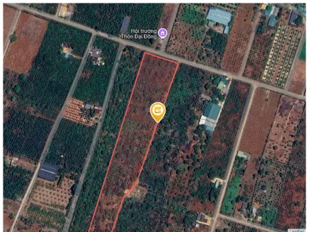 Bán đất 16811.1m² ngang 53m giá 12 tỷ tại Xã Ea Nuôl