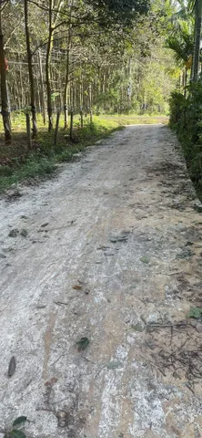 Bán đất 100m² giá 1.35 tỷ Phường Tân An