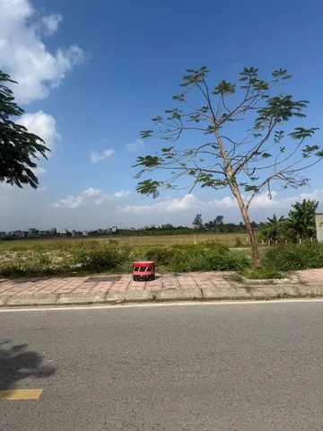 Bán đất mặt đường Thượng Đức hướng Đông Nam 124,6m² ngang 5m giá 3.68 tỷ Phường Nam Đồ Sơn