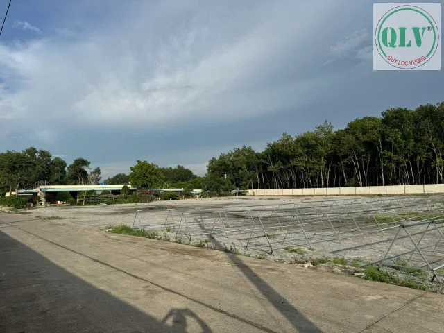 CHO THUÊ NHÀ XƯỞNG – PHƯỚC HÒA, PHÚ GIÁO, BD – 10.000m²