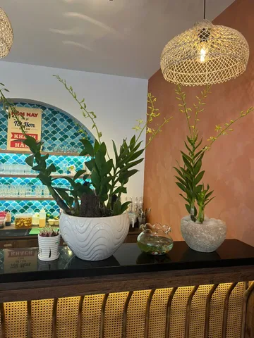 Bán đất 235.9m² ngang 15m giá 34.5 tỷ  đối diện công viên