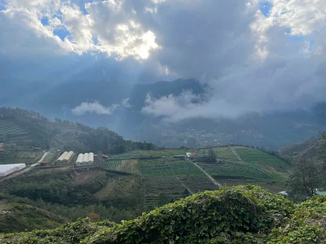Lô đất hiếm tại Ô Quy Hồ – mặt tiền siêu rộng – view đỉnh Fansipan – giá rẻ hơn khu vực