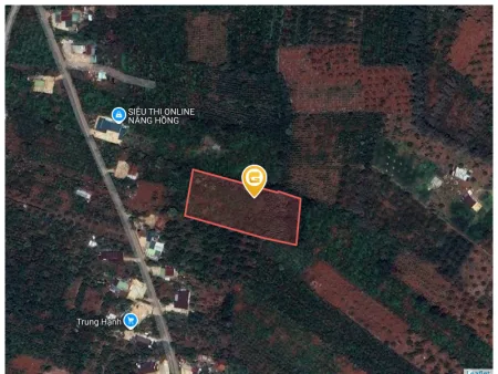 Bán đất 4665.5m² Xã Dliê Ya