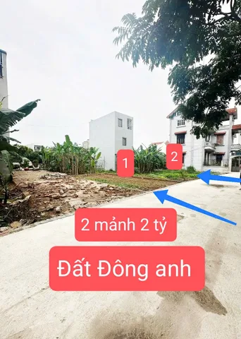 Rẻ nhất Đông Anh 2 tỷ đường ô tô bán gấp trả nợ