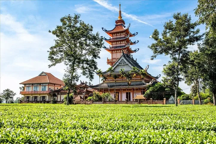 💥 Cho thuê Nhà Vườn nghĩ dưỡng ngay kDL Biển Hồ- Hàng thông trăm tuổi