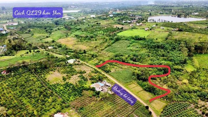 Bán đất 7582m² giá 1.39 tỷ Xã Ea Drông