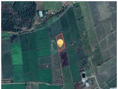 Bán đất 1638.2m² ngang 57.5m giá 850 triệu Xã Lương Sơn