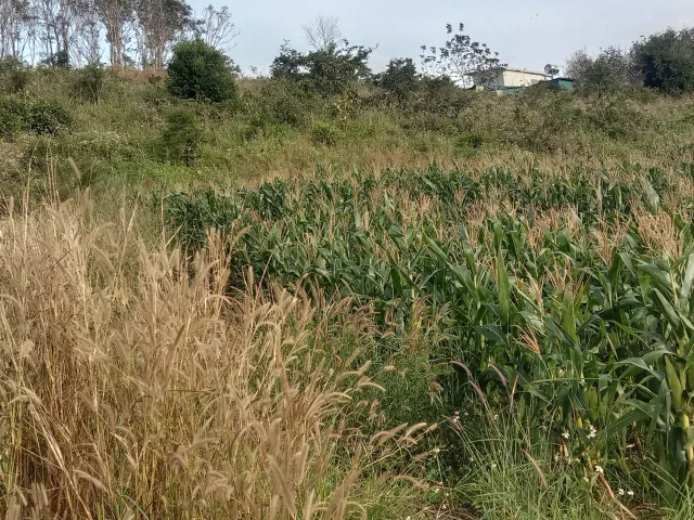 Bán đất 1000m² giá 130 triệu Xã Ea Khăl