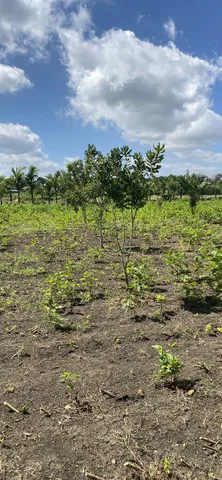 Bán đất 2766.2m² ngang 80m giá 5 tỷ Xã Ea Kly