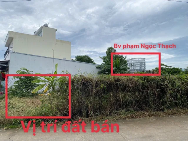 Bán đất 95m² đối diện Bv PHẠM Ngọc Thạch giá 3.8 tỷ Xã Tân Nhựt