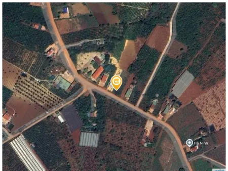 Bán đất 250m² ngang 5m giá 800 triệu Xã Nam Ban Lâm Hà