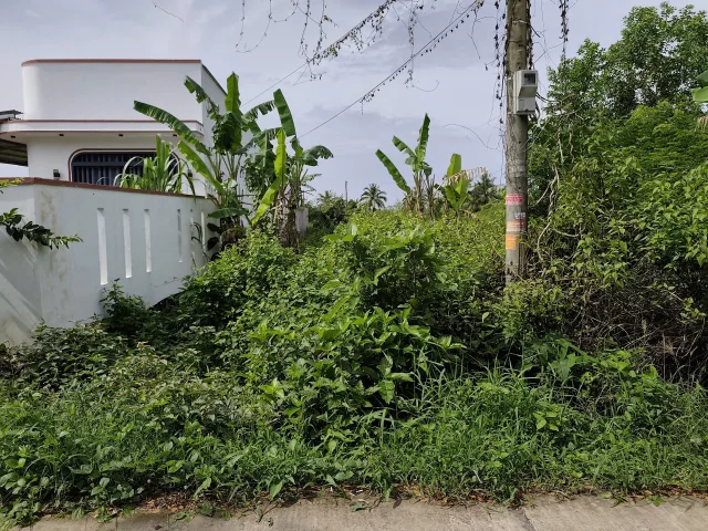 CHỈ 599 TRIỆU ĐẤT THỔ CƯ VIEW SÔNG TT. MỸ XUYÊN, SÓC TRĂNG