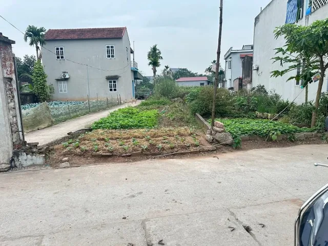 Bán đất 105.4m² ngang 6m giá hơn 4 tỉ tại Tân Xã Hoà lạc sát CNC, ĐH FPT thủ phủ của nhà trọ