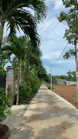 Bán đất 112,3m² ngang 5m giá 490 triệu Xã Bình Giã