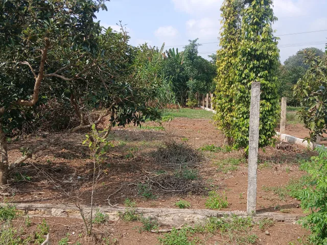 Bán đất 624,4m² ngang 10m giá 1.25 tỷ Xã Ngãi Giao, Châu Đức