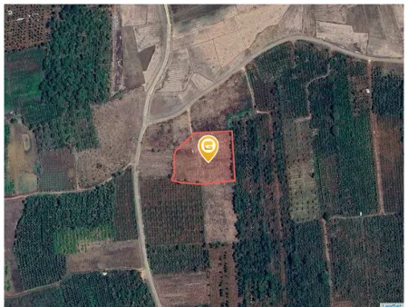 Bán đất 9000m² ngang 50m giá 4.14 tỷ Xã Hòa Phú
