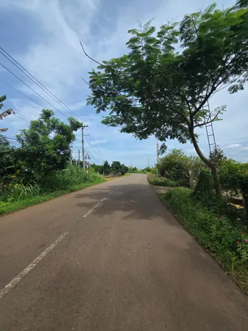 BÁN LÔ ĐẤT DIỆN TÍCH HƠN 1HA – GIÁ TỐT XUÂN LỘC (ĐỒNG NAI)