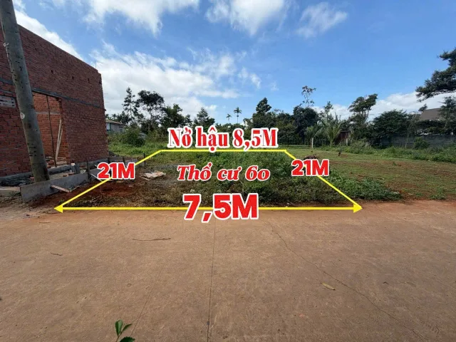Bán đất 166.1m² giá 1.29 tỷ Phường Tân An