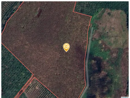 Bán đất 1000m² ngang 25m giá 200 triệu Xã Tân Lợi