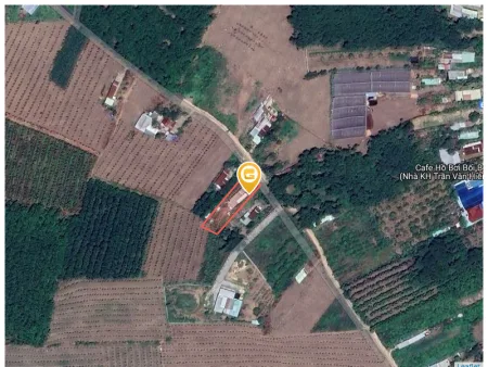 Bán đất 1171.9m² Xã An Long