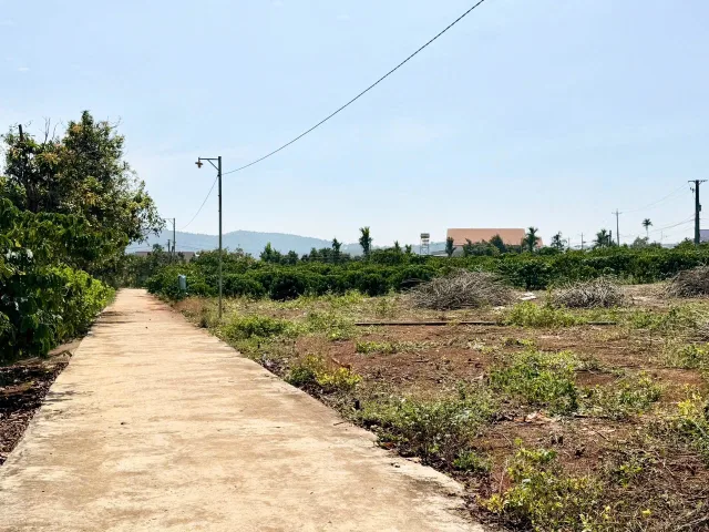 Bán đất 160m² giá 699 triệu Xã Nam Ban Lâm Hà