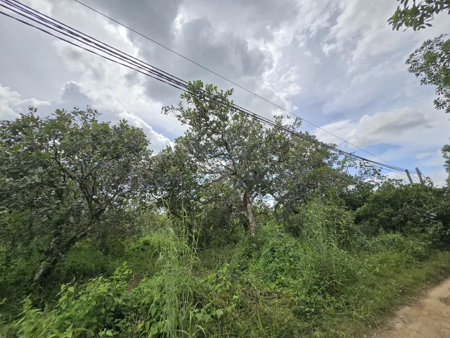 K1922 ✨ đất Phú Ngọc Đồng Nai, SHR, Vuông, HXH, 19.5x53m, 600tr