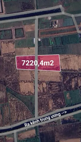 Bán đất 7220.4m² giá 12.4 tỷ Xã Bà Điểm