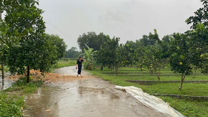 🏡 BÁN ĐẤT LK06 TRUNG TÂM XÃ BẢO HIỆU – YÊN THỦY – HÒA BÌNH
💰 Giá chỉ từ 4xx triệu/lô – Pháp lý rõ ràng – Sổ đỏ riêng từng lô