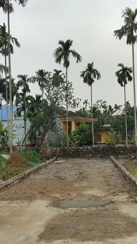 05/01/2026.Bán đất 63.1m² ngang 4,5m giá 1.39 tỷ Phường Thiên Hương. liên hệ 0362558882