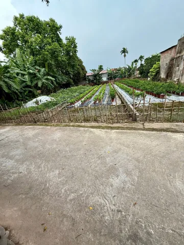 Bán đất 150m² ngang 5m giá 6 tỷ Xã Văn Giang