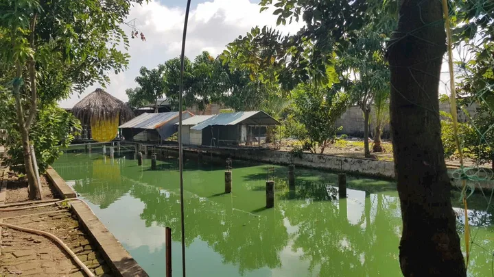 Bán đất 1500m² ngang 27m giá 24.5 tỷ Xã Hóc Môn