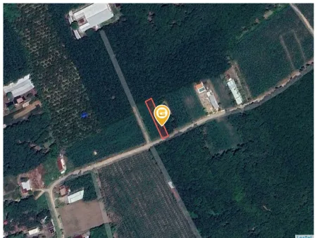 Bán đất 601.9m² Xã An Long