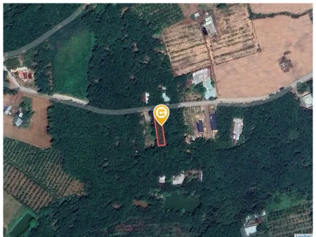 Bán đất 499.7m² Xã An Long