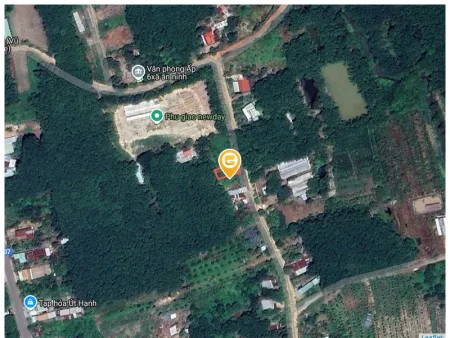 Bán đất 269.9m² Xã An Long