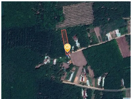 Bán đất 1288m² giá 590 triệu Xã An Long