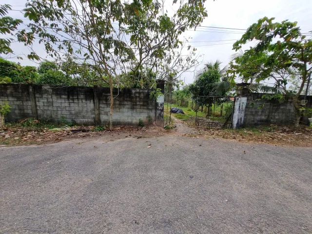 (B550) Đất mặt tiền Hà Thị Kiểm, xã Phú Mỹ Hưng, dt 1.711m2, thổ cư 500m2, giá 6 tỷ 500 thương lượng