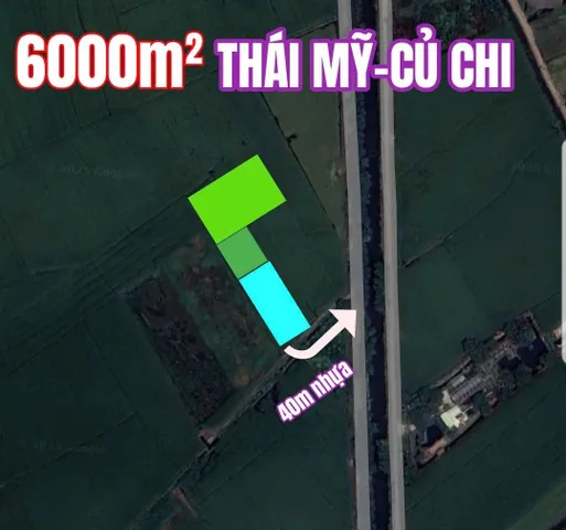 🛑 ĐẤTLỚN.COM: Bán đất 6000m² ngang giá 4.2 tỷ Xã Thái Mỹ Củ Chi đường đất oto ra 40m nhựa lớn