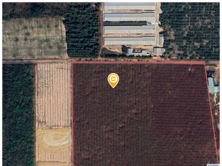 Bán đất 40.519,8m² giá 44 tỷ Phường Long Nguyên