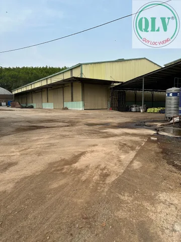 CHO THUÊ ĐẤT VÀ NHÀ XƯỞNG – VĨNH TÂN, VĨNH CỬU, ĐN – 5.000m²