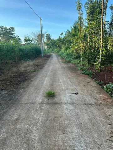 Bán đất 175.4m² ngang 5m giá 680 triệu Xã Ngãi Giao