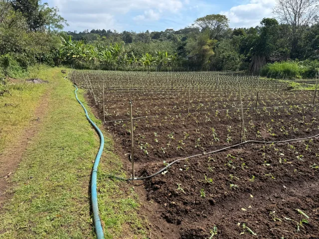 đất sau lưng bệnh viện vùng ô tô chạy vào tận đất diện tích 2086m2 ,14m ngang,giá 3tỷ 599tr