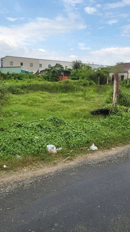 🔥Giảm 11,5 còn 9,5 tỷ - 1000m2 FULL THỔ CƯ, MT nhựa ĐH14, Tân Điền, Long Thượng, Cần Giuộc